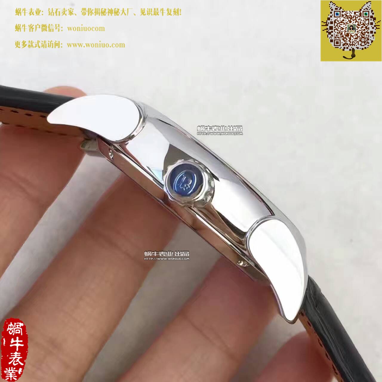   BM厂帕玛强尼TOURBILLON系列PF600696 陀飞轮腕表 / PM029