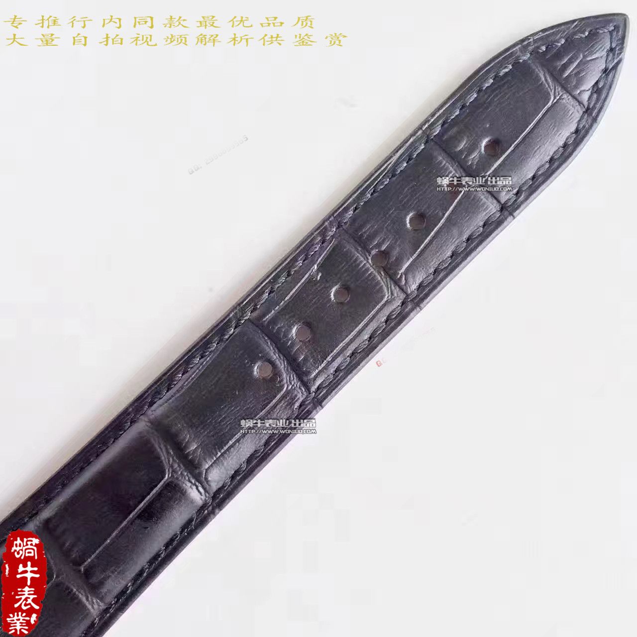   WF  帕玛强尼TORIC系列PFC423-1201400-HA1441腕表 / PM030