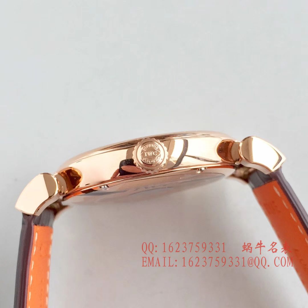   MK  万国IWC达文西系列IW356601腕表 / WGB0317