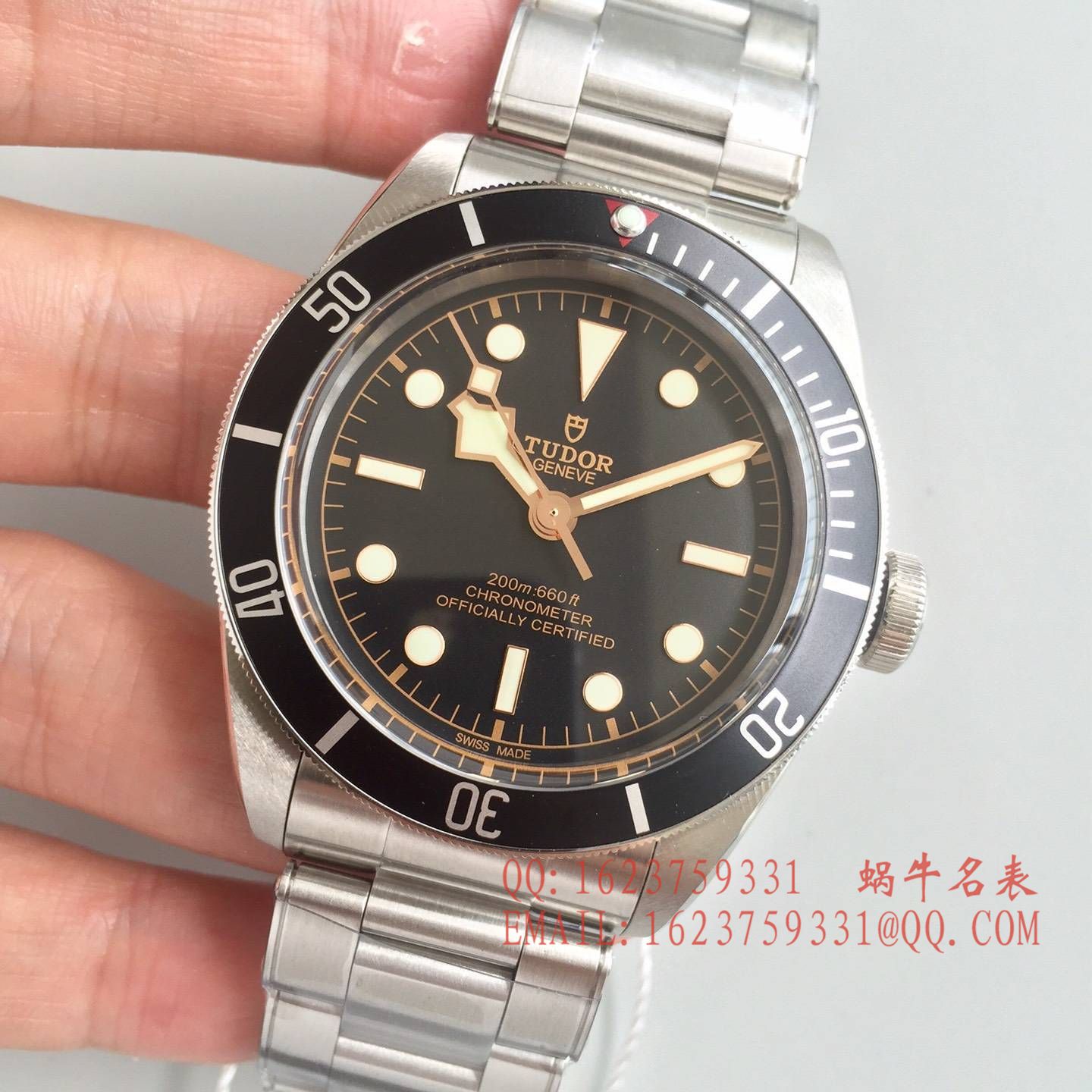   ZF厂帝舵HERITAGE BLACK BAY系列79220N “帝舵小黑花” 腕表 / DT016