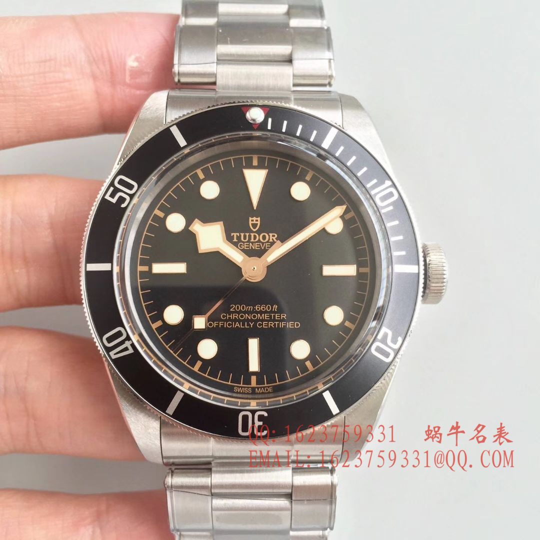   ZF厂帝舵HERITAGE BLACK BAY系列79220N “帝舵小黑花” 腕表 / DT016