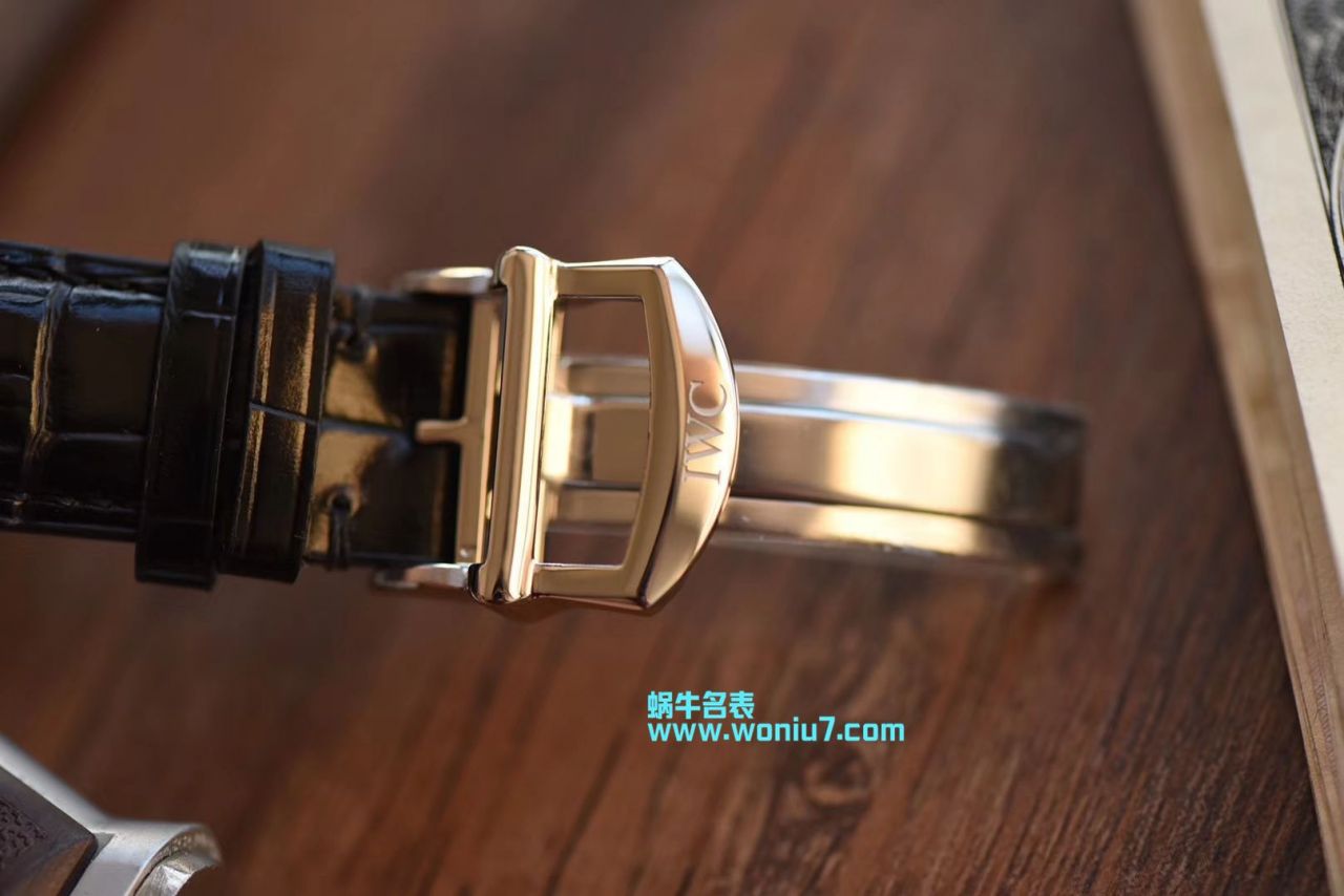   YL  万国表达文西系列IW393402腕表 / W319