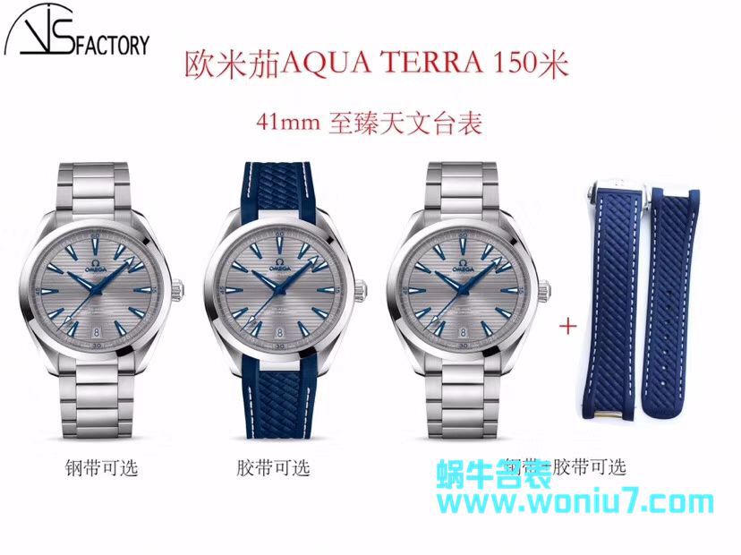  VS  欧米茄海马系列220.10.41.21.06.001腕表、220.12.41.21.06.001 / M366