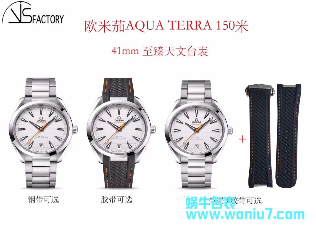   VS  欧米茄海马系列220.10.41.21.02.001、220.12.41.21.02.002腕表 / M363