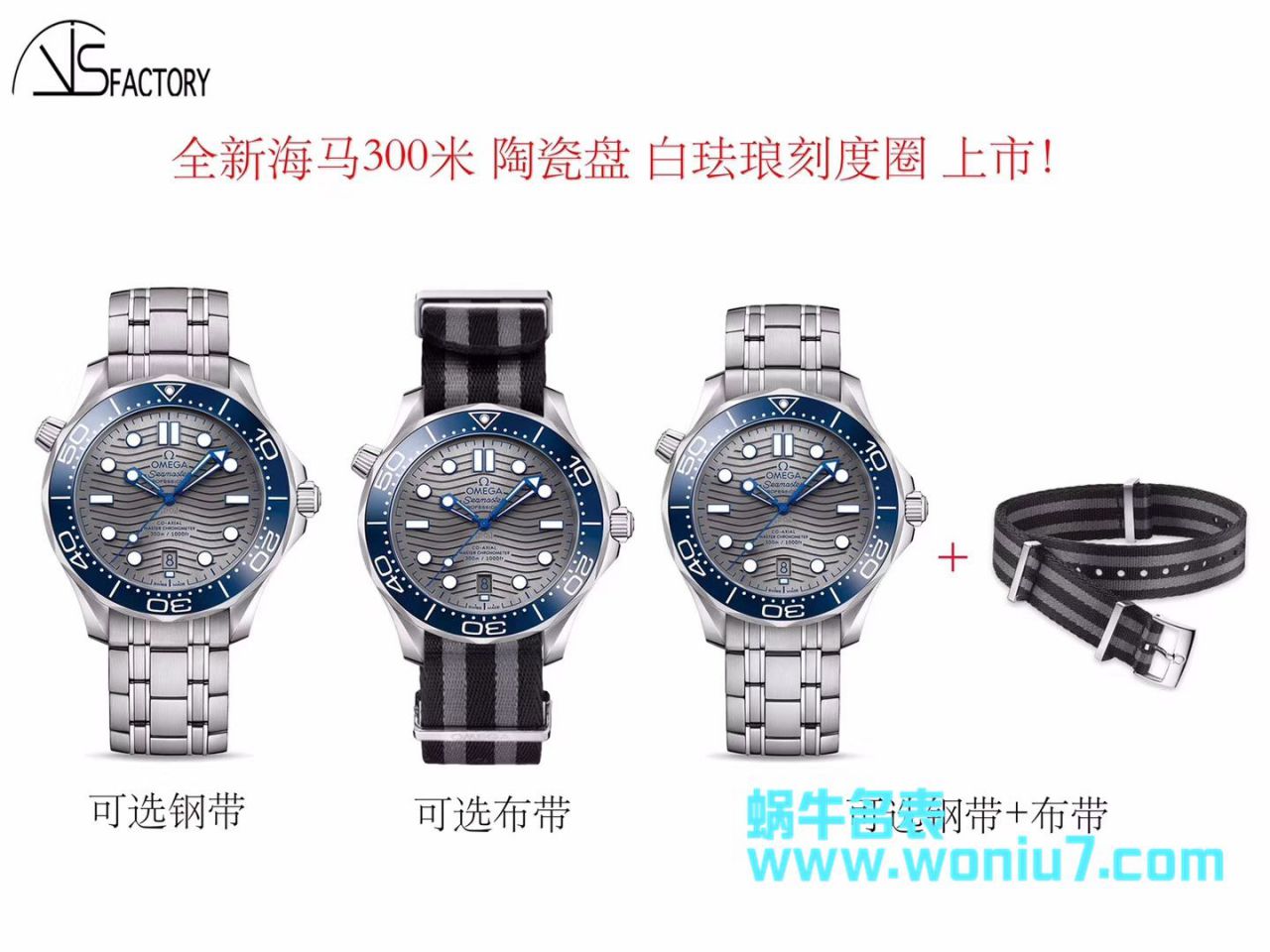  VS  欧米茄海马系列210.30.42.20.06.001腕表 / M360