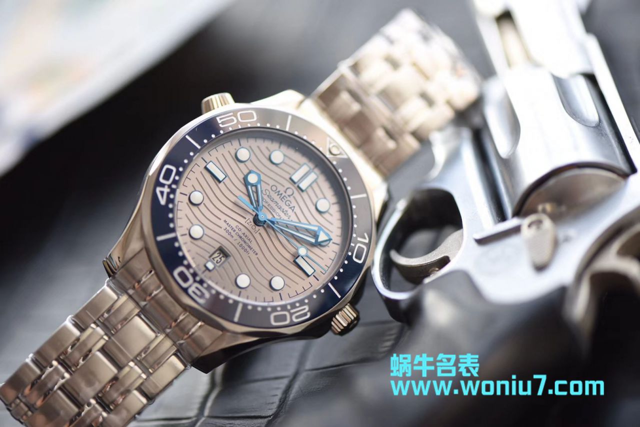   VS  欧米茄海马系列210.30.42.20.06.001腕表 / M360