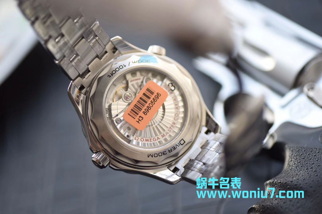   VS  欧米茄海马系列210.30.42.20.06.001腕表 / M360