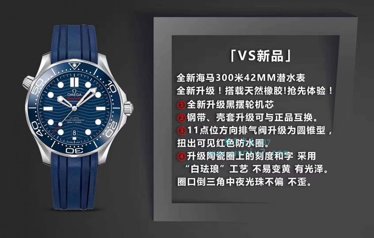   VS  欧米茄海马系列210.32.42.20.06.001腕表 / M376