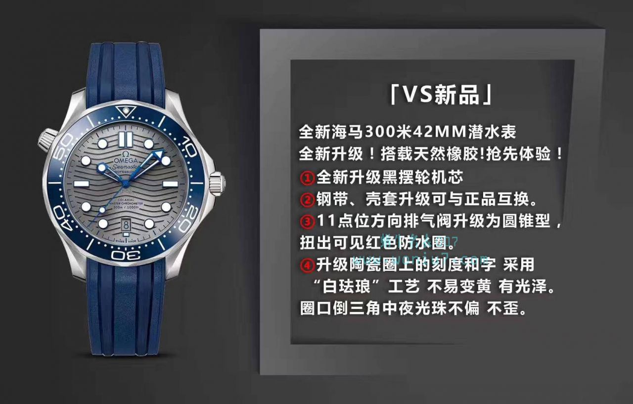   VS  欧米茄海马系列210.32.42.20.06.001腕表 / M376