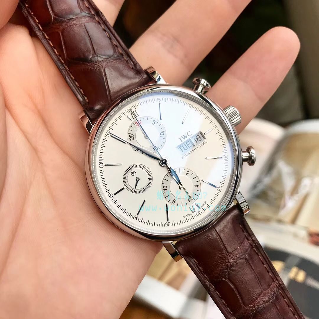   原单货  IWC万国表柏涛菲诺系列IW391001腕表 / WG179