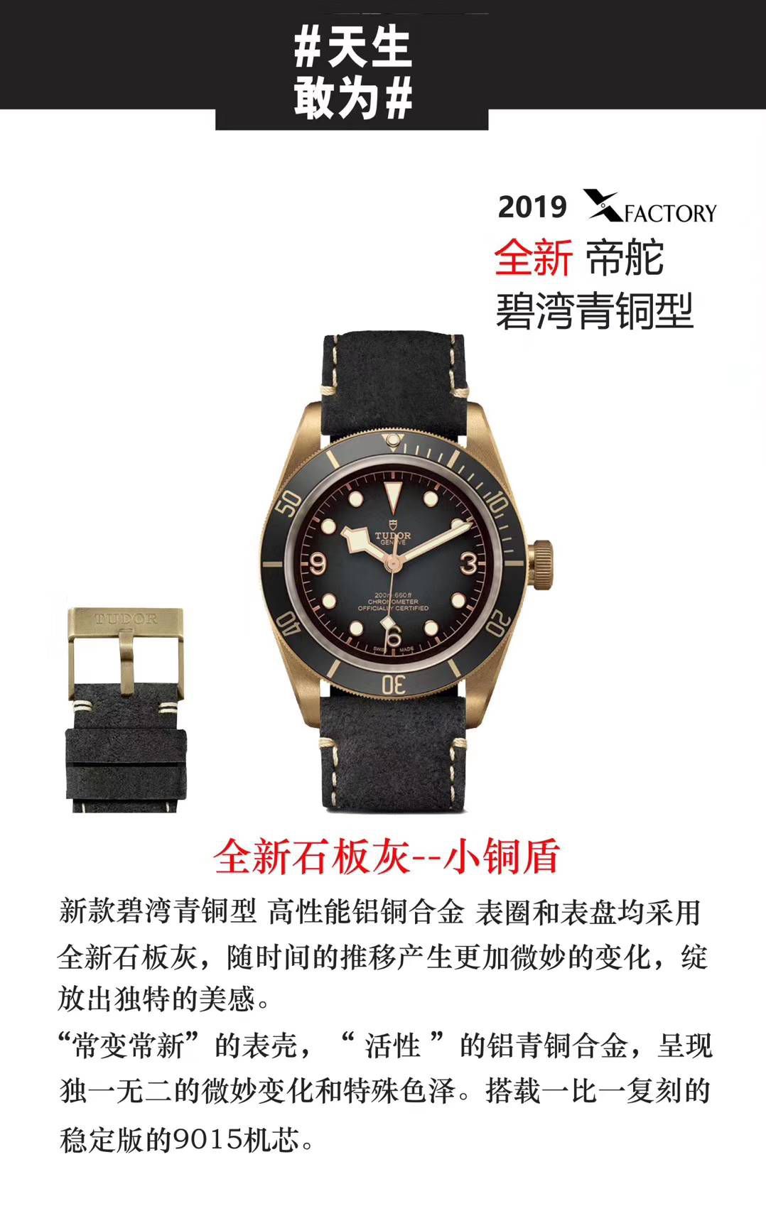 帝舵碧湾系列M79250BA-0001腕表高XF新品首发：贝克汉姆同款－最新帝驼碧湾青铜型－小铜盾   / DT033
