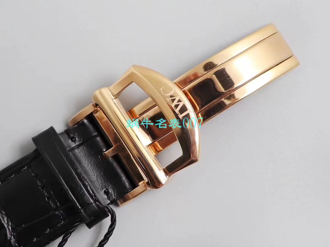   ZF厂IWC  万国柏涛菲诺计时系列IW391020腕表 / WG509