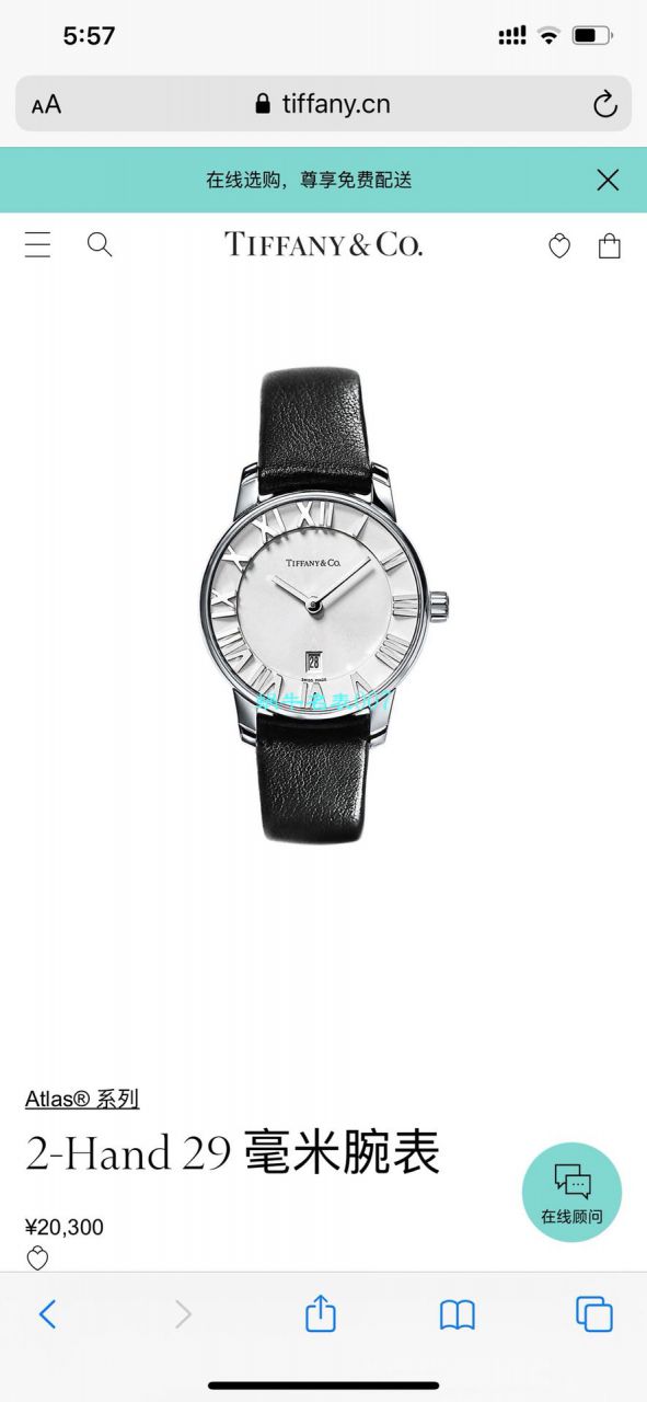   Tiffany＆Co.  原单精工蒂芙尼2019年专利款设计钢带石英女表 / Tiffany05