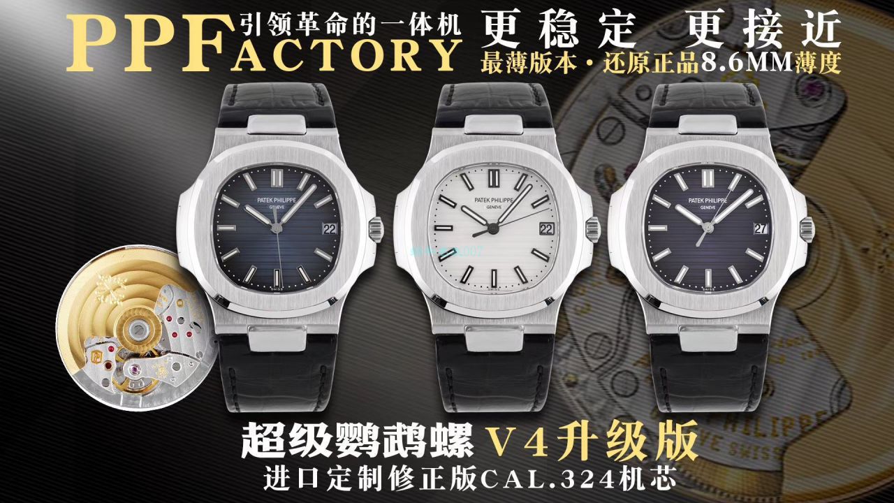 百达翡丽鹦鹉螺评测  最好的百达翡丽手表 / BD312B