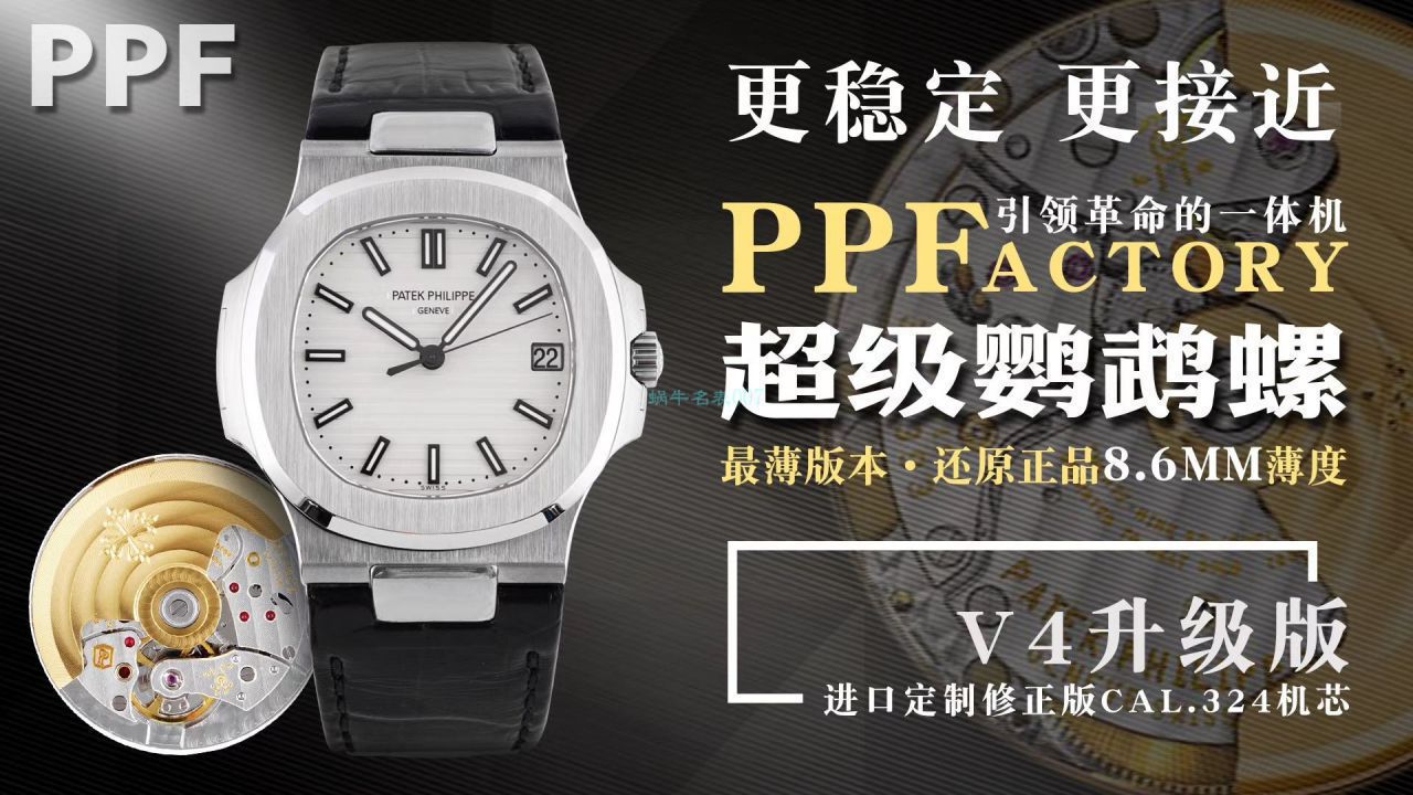 百达翡丽鹦鹉螺评测  最好的百达翡丽手表 / BD312B