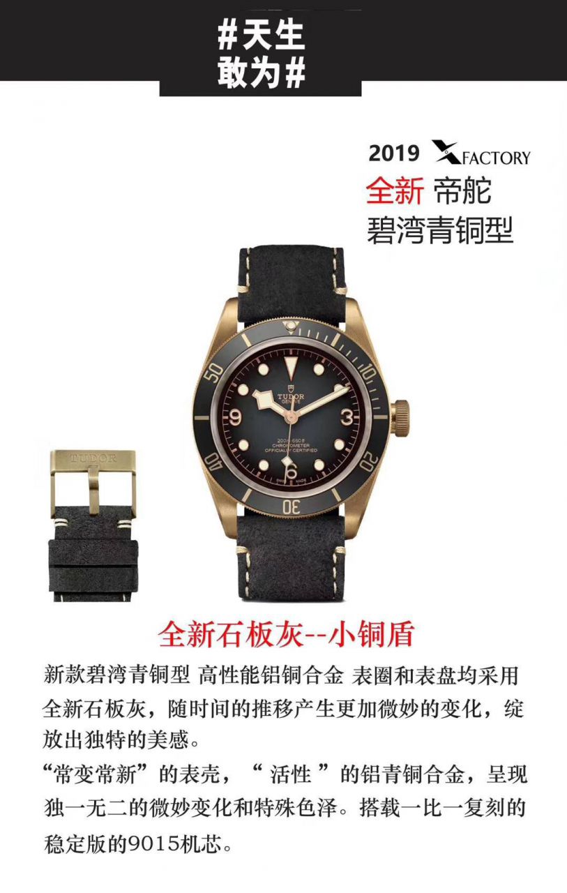 帝舵怎么样视频评测网站帝舵 / DT071