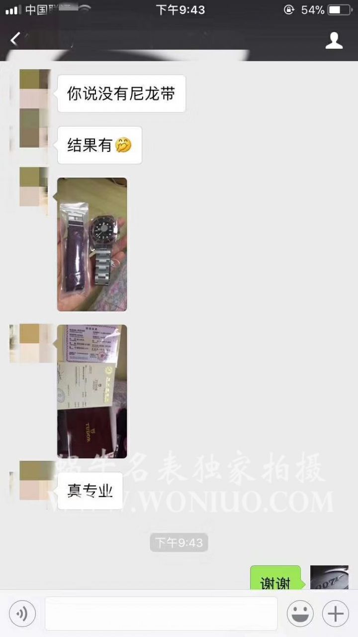 ZF厂小红花视频评测帝舵碧湾系列79220R小红花不锈钢表带腕表 / DT009E