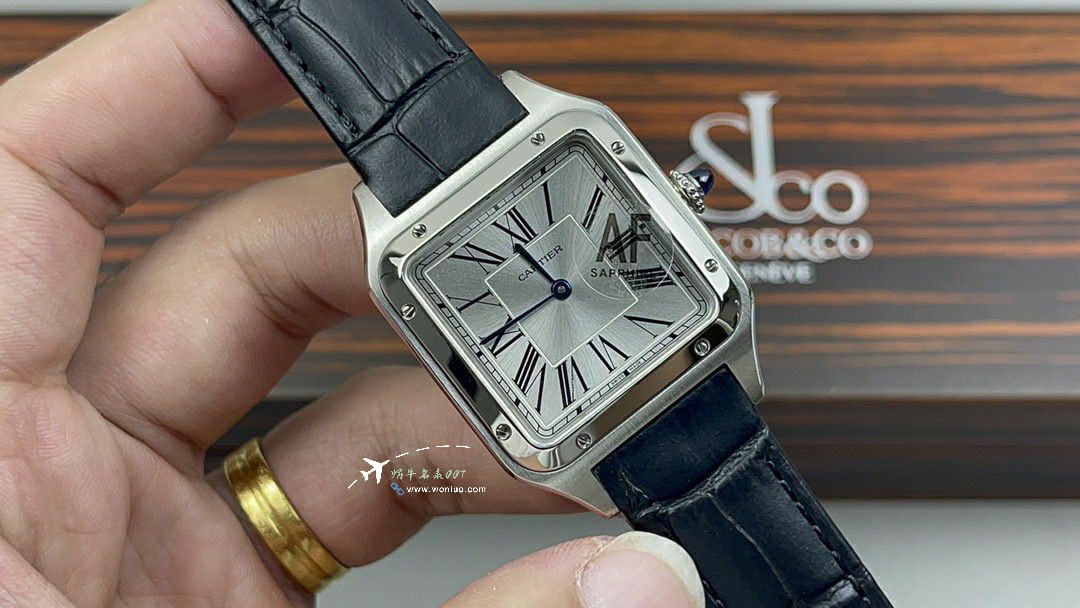 AF卡地亚山度士大号中号集合WJSA0016，WJSA0017，WJSA0019 / K377