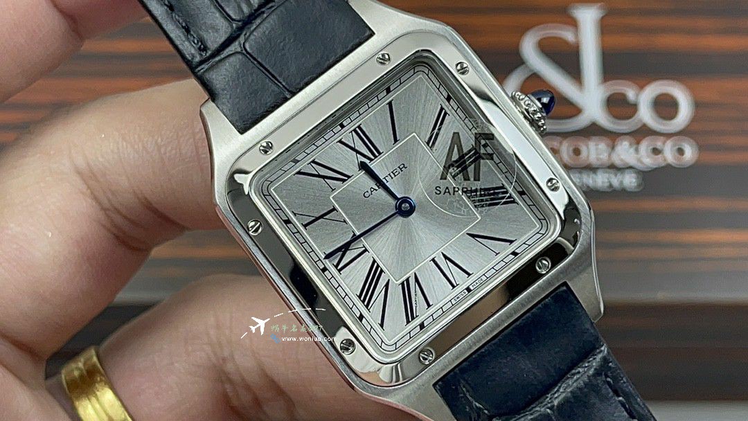 AF卡地亚山度士大号中号集合WJSA0016，WJSA0017，WJSA0019 / K377