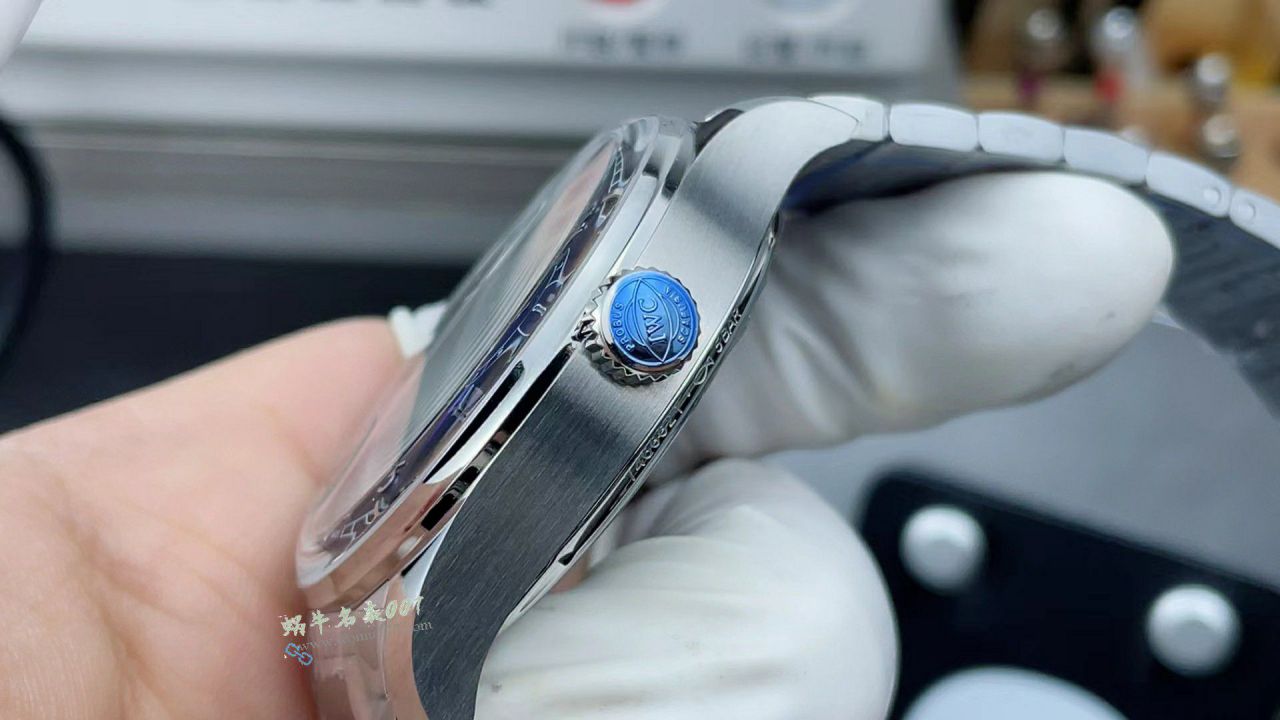 APS万国IWC葡萄牙葡七钢带IW501704腕表 / WG638
